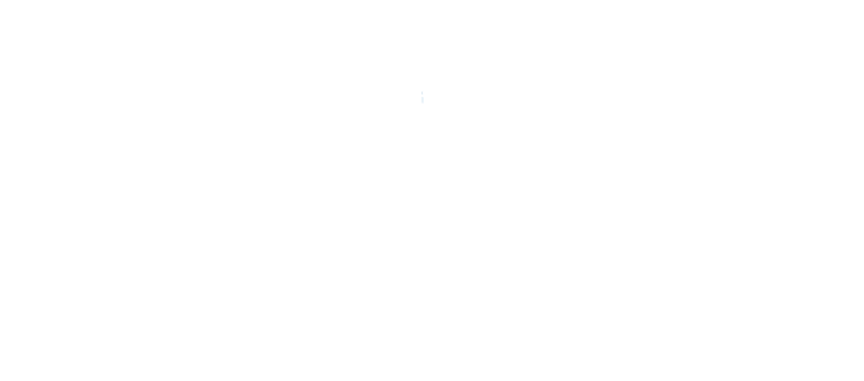 Wise Attend logo